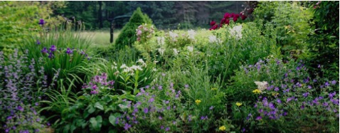 Franklin NY Garden Club