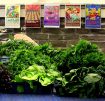 Franklin Farmers