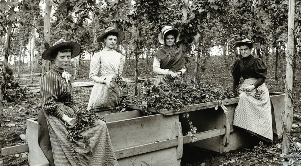 Hop Pickers, ca. 1880-1899